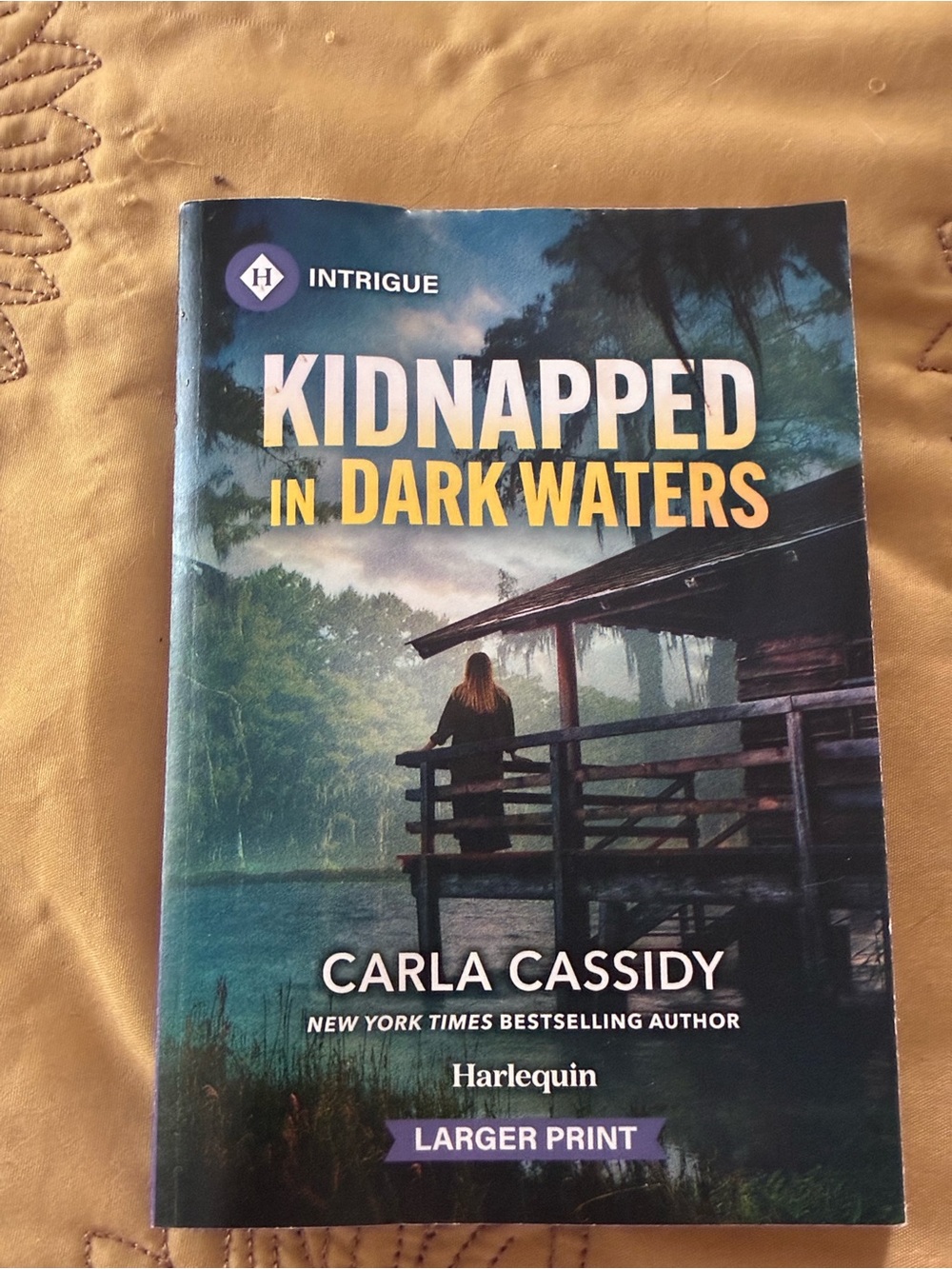 Carla Cassidy - Kidnapped in Dark Waters (Larger Print) - Harlequin Intrigue